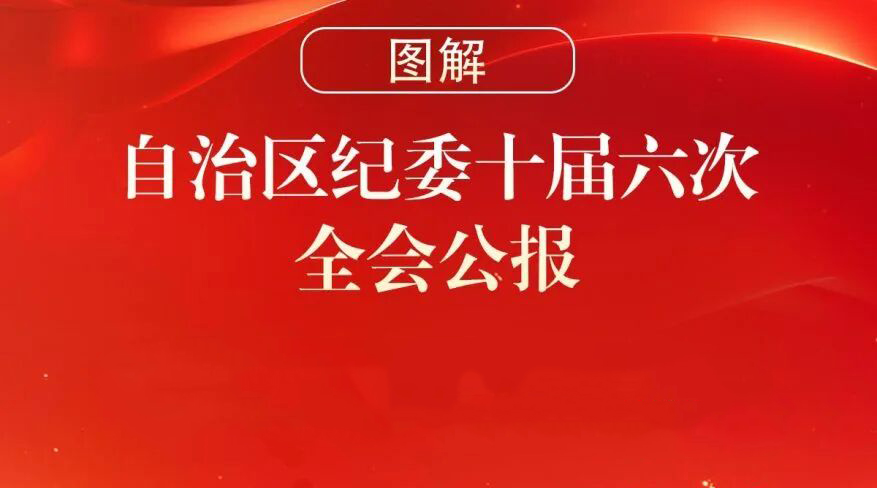 图解 | 自治区纪委十届六次全会公报